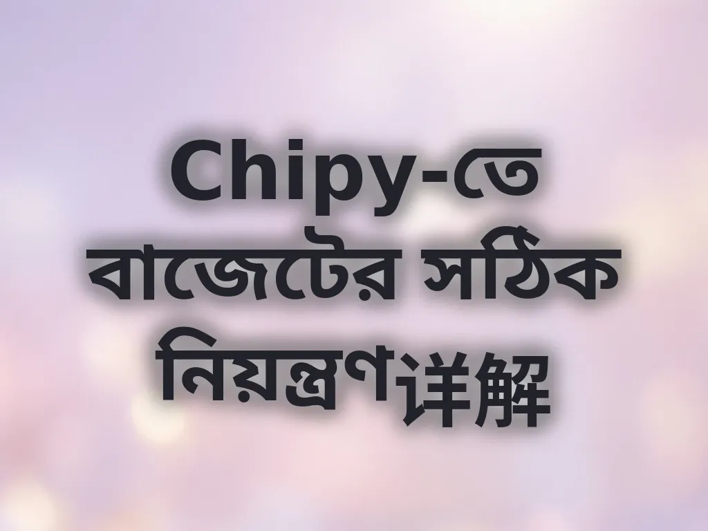 Chipy-তে বাজেটের সঠিক নিয়ন্ত্রণ